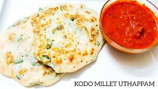 HEALTHY & TASTY KODO MILLET UTHAPPAM RECIPE     வரகு அரிசி ஊத்தப்பம்