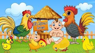 Lagu Anak Lucu  Si Ayam Lucu  Ayam Kukuruyuk Dan Ayam Berkokok