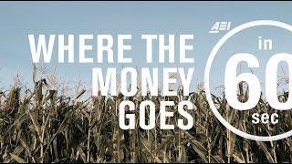 Farm subsidies Where the money goes  IN 60 SECONDS