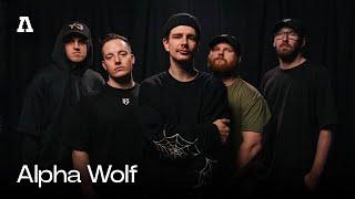 Alpha Wolf on Audiotree Live Full Session