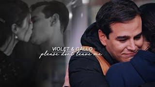 Violet & Gallo  Please Dont Leave Me