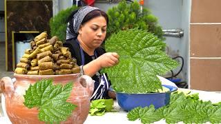 How to Store Dolma For 5 Years The Secret