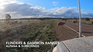 Alpana Station Stay  Blinman  Flinders & Gammon Ranges  Episode 5
