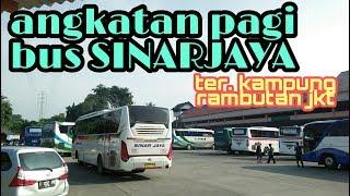 Bus Sinar Jaya Angkatan Pagi Diterminal Kampung Rambutan Jakarta