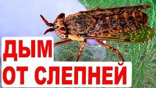 Уничтожитель насекомых. Средство от слепней. Оводы и слепни vs дымовая шашка Тихий Вечер