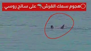 هجوم سمك القرش على سائح روسي في سواحل  مصر