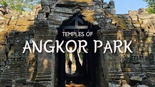 Temples of Angkor Park Cambodia