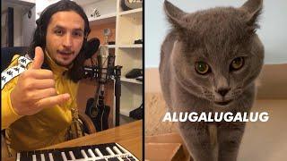 The Kiffness X Alugalug Cat 2.0 Please Go Away