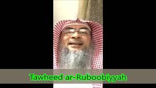 Three types of Tawheed Tawheed Ruboobiya Tawheed Uloohiya Tawheed Asma wa Sifat - Assim al hakeem