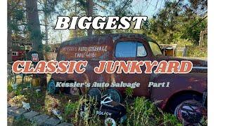 BIGGEST Untapped Classic Junkyard Ive Seen Yet