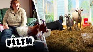 The Woman Who Lives With Goats  Episode 6 Clip 3  Obsessive Compulsive Cleaners