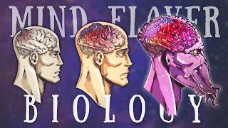 The Terrifying Life Cycle of the Mind Flayer  Illithid Biology Explained