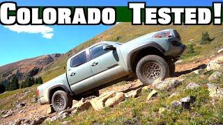 I Off-Road Every Version Of The New Toyota Tacoma  The One You Should Buy Is NOT What You Think