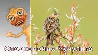 Сладкопойна Чучулига - Детска Песен - Текст