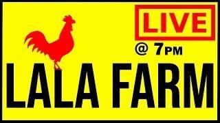 Live with LaLa Farm