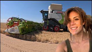 My First Wheat Harvest  CLAAS Lexion 8600TT