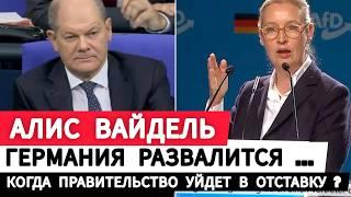 Германия Алис Вайдель. Зеленые хотят любой ценой помешать... Когда правительство уйдет в отставку