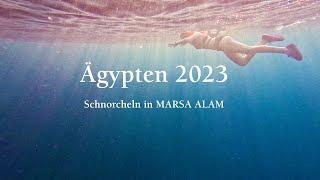 Ägypten 2023 - Schnorcheln in Marsa Alam