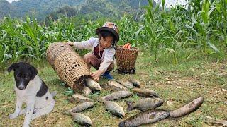 The poor girl trying to make a living hooks bait and carries a cage into the lake to trap fish