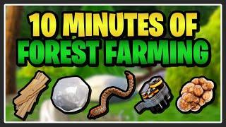 How much can I get from only 10 MINUTES of Forest Farming?