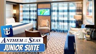 Anthem of the Seas  Junior Suite Tour & Review 4K  Royal Caribbean