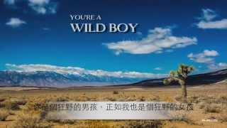 （中文歌詞影音）Avicii - Dear Boy 親愛的男孩