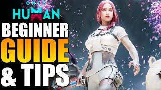 Beginner Guide & Tips - Once Human