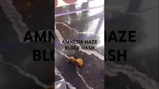 Amnesia haze block hash