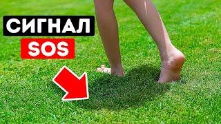Свежескошенная трава посылает сигнал SOS + 14 тревожных фактов