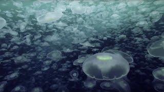 Open Ocean 10 Hours of Relaxing Oceanscapes  BBC Earth