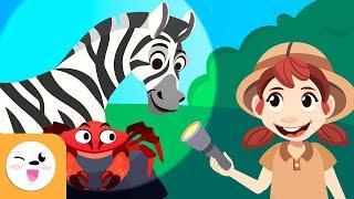 Les animaux pour les enfants - Vocabulaire - Animaux sauvages de la ferme et aquatiques
