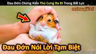 Đau Lòng Chứng Kiến Pet Cưng Ra Đi Nhưng Bản Thân Đành Bất Lực  Review Giải Trí Đời Sống