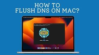 How to Flush DNS on Mac? 1-Step Process