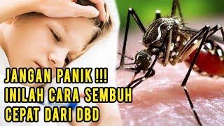 OK DOKTER  MINUM AIR PUTIH AMPUH CEGAH DEMAM BERDARAH