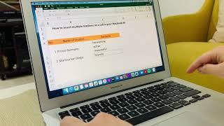 Inserting multiple text lines in an excel using Macbook Air