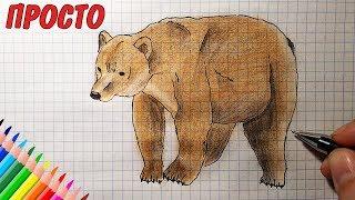 Как нарисовать МЕДВЕДЯ 1080рHow to draw a BEAR