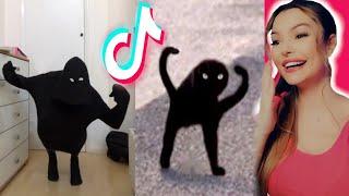  Tik Tok PARECIDOS RAZONABLES Meme Challenge   Aroyitt