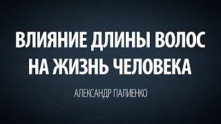 Влияние длины волос на жизнь человека. Александр Палиенко.