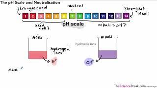 The pH Scale and Neutralisation for AQA 9-1 GCSE Chemistry and Trilogy Combined Science