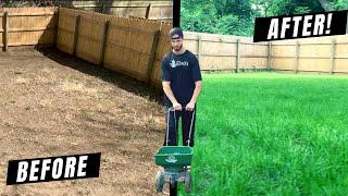 How to Grow a Lawn From Scratch DIY Guide + Lessons Learned