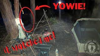 YOWIE Finding Australias Sasquatch  Season 3 Finale  Stalked by a Yowie