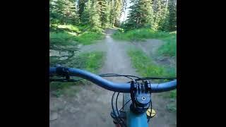 Are these Jumps some of the Best at any Bike Park? I think so