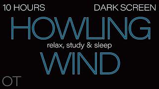 HOWLING WIND Sounds for Sleeping Relaxing Studying BLACK SCREEN Real Storm Sounds 10 HOURS
