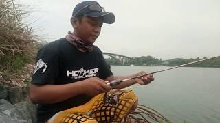 Review mancing di jembatan 5 Batam - BOLANG FISHING ADVENTURE -