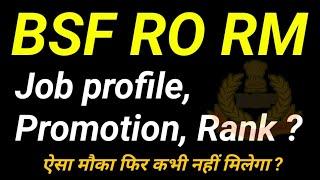 BSF RO RM JOB PROFILE PROMOTION AND RANK.