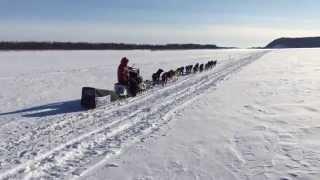 Ararad Khatchikian Iditarod 2015 AlaskaYukon River Lance Mackey Earl and Davon www.ararad.net