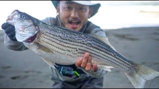 BEST STRIPED BASS CATCH AND COOK  Vietnamese Style Dish