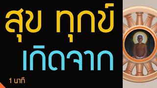 สุข ทุกข์ ที่เกิดขึ้นในชีวิต ล้วนผ่านอายตนะ 6 ทั้งสิ้น  พุทธวจน ทางนิพพาน