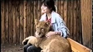 LION CUBS WITH CUTE YOUNG GIRL