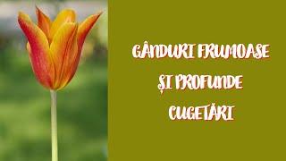 Gânduri frumoase și profunde Cugetări  Beautiful Thoughts and Deep Thoughts  Cristina